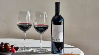 Favia 2023 Napa Valley Cabernet Sauvignon
