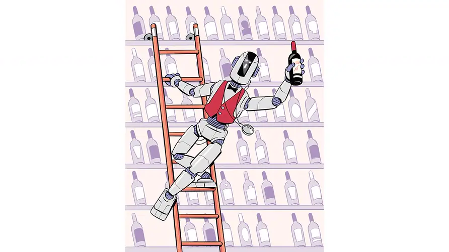 Wine cellar illustration