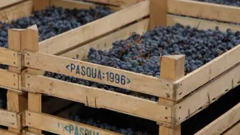 amarone