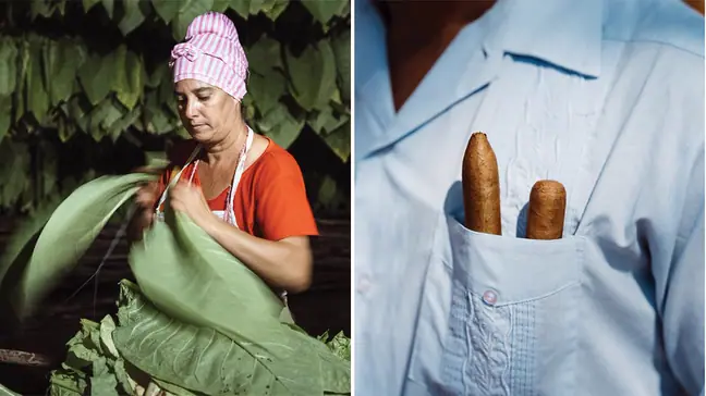 A worker handles tobacco inside a curing barn in Lázaro Peña,in the Partido region of Cuba; a local’s cache