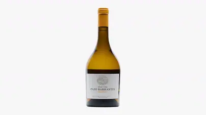 Pazo de Barrantes 2022 Gran Vino Albariño