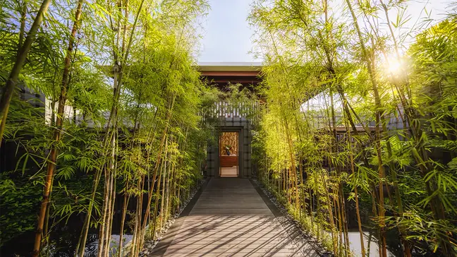 Regent Spa & Wellness