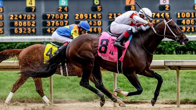 The finish line of the Churchill Downs on May 4, 2019 in Louisville, Kentucky.